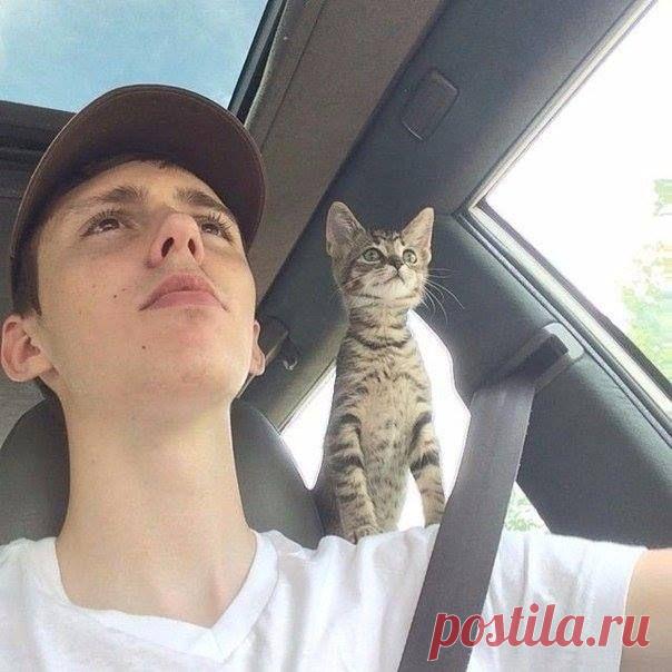 Котоштурман))))))