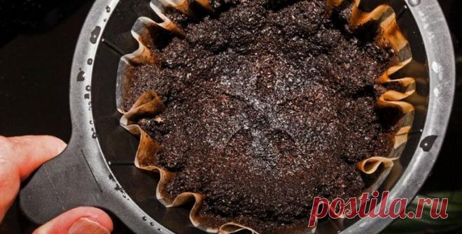 Почему не стоит выкидывать кофейную гущу. 6 полезных в быту идей