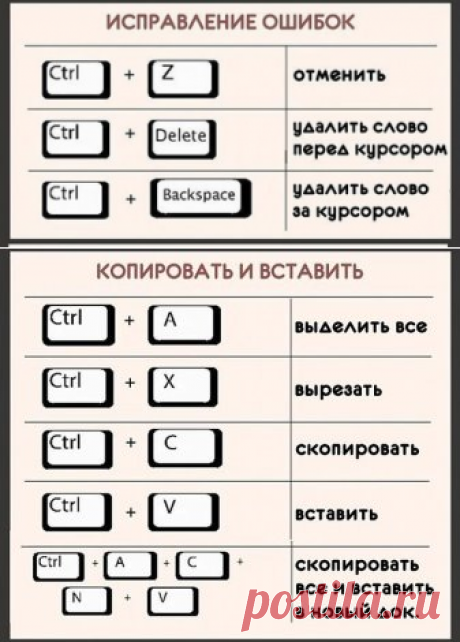 * * * * * * * * * * * *