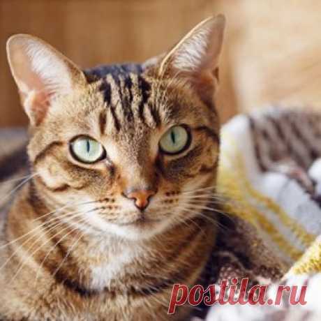 приметы на день рождения