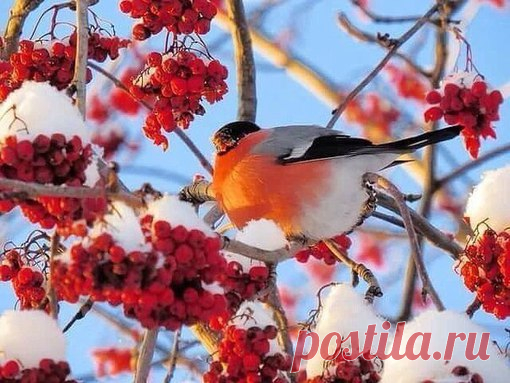 Красивые картинки На вашу страницу {♥2018♥}