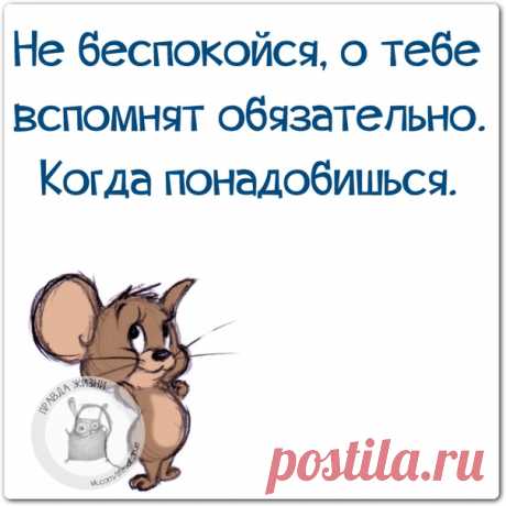 Правда Жизни | Юмор, Мотивация, Сарказм, Цитаты
