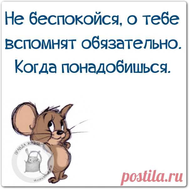 Правда Жизни | Юмор, Мотивация, Сарказм, Цитаты
