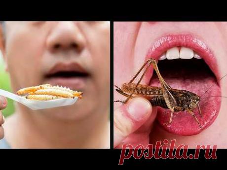 Насекомых добавляют в еду без вашего ведома. Вредно это или нет?