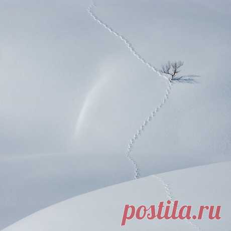 21 фотография для тех, кто понимает минимализм • НОВОСТИ В ФОТОГРАФИЯХ
