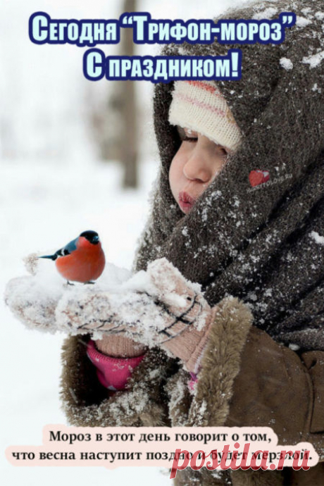 Картинки на Трифонов день: открытки с надписями на 14 февраля 2024