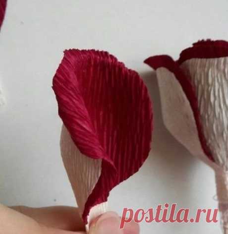 2 непрочитанных чата