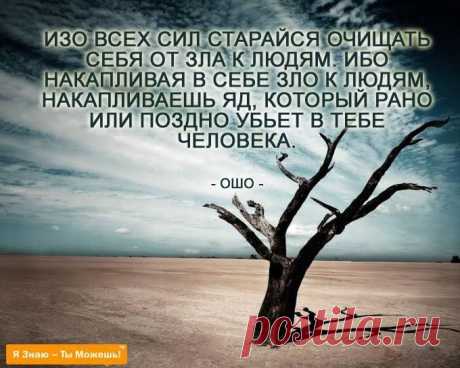 (1) ЛУННЫЙ КАЛЕНДАРЬ. Our Moon life style.
