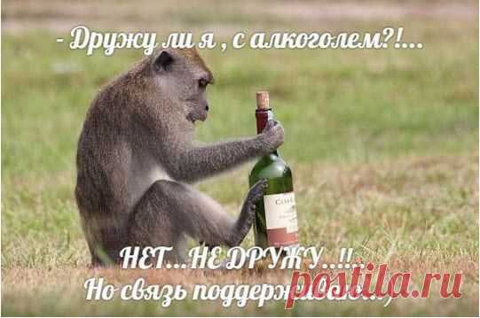 Интересные новости