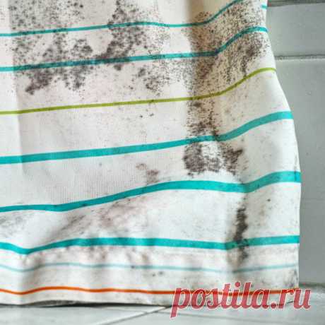 Как предотвратить плесень в доме