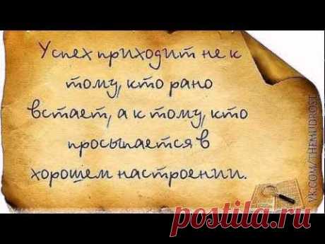 АРАНЫ И КОСЫ | Творческие УЗОРЫ