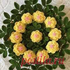 (51) Одноклассники