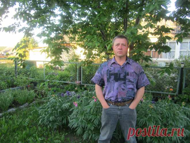 ансамбли,музыка 80-х. Все что касается летней рыбалки на карпа,"белую рыбу"