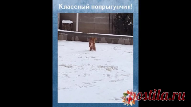 Это когда в душе ты -заяц