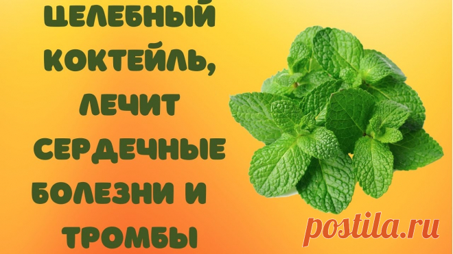 Целебный коктейль, который лечит сердечные заболевания и избавляет от тромбов



Универсальный коктейль, который благотворно влияет на оздоровление всех систем организма

Народная медицина предлагает универсальный коктейль от многих заболеваний.
Нужно смешать в одной бутылке (желательно тёмного стекла) аптечные настойки:
Народная медицина — рецепты, советы, способы, cекреты и народные средства.