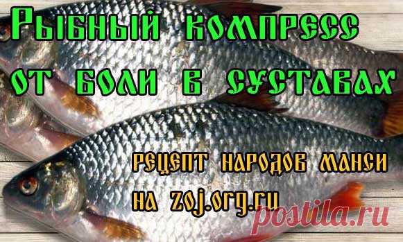 Для больных суставов - рецепт народов манси » Женский Мир