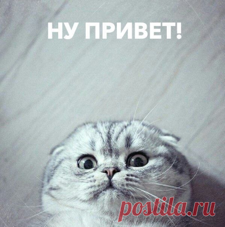 КАК СКАЗАТЬ ПРИВЕТ ПО-ДРУГОМУ? | Бзяраш бай (Абхазия)Ассалам алейкум (Азербайджан)ХеллоуХай (Англия)Барев дзез (Армения)Хаумыгыгыз (Башкортостан)Дзень добры (Белоруссия)Здравей (Болгария)Алоха (о. Гаваи)Гутн таг (Германия)Ясу (Греция)Гомар Джоба (Грузия)Ола (Испания)Бонжорно (Италия)СанбонаБантвана(Зулу)Шалом(Израиль)Амантрана (Индия)Мендвт (Калмыкия)Нихао (Китай)Аляфунду (Корея)СабайдИ (Лаос)Лаба дена (Литва)Норок (Молдавия)Намастэ (Непал)Гуддаг (Норвегия)Ало (Румыния)Добр дан (Сербия)...