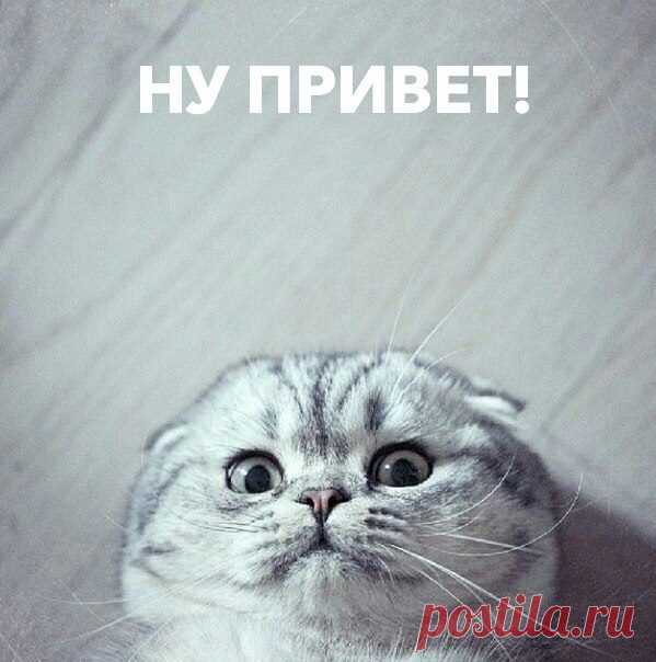 КАК СКАЗАТЬ ПРИВЕТ ПО-ДРУГОМУ? | Бзяраш бай (Абхазия)Ассалам алейкум (Азербайджан)ХеллоуХай (Англия)Барев дзез (Армения)Хаумыгыгыз (Башкортостан)Дзень добры (Белоруссия)Здравей (Болгария)Алоха (о. Гаваи)Гутн таг (Германия)Ясу (Греция)Гомар Джоба (Грузия)Ола (Испания)Бонжорно (Италия)СанбонаБантвана(Зулу)Шалом(Израиль)Амантрана (Индия)Мендвт (Калмыкия)Нихао (Китай)Аляфунду (Корея)СабайдИ (Лаос)Лаба дена (Литва)Норок (Молдавия)Намастэ (Непал)Гуддаг (Норвегия)Ало (Румыния)Добр дан (Сербия)...