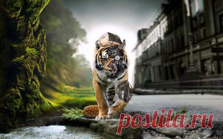 Тигр, робот обои для рабочего стола, картинки, фото, 1920x1200.