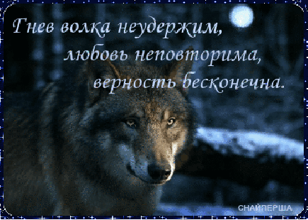 Мой Мир@Mail.Ru