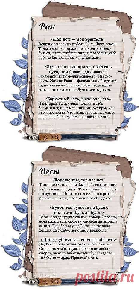 Одноклассники