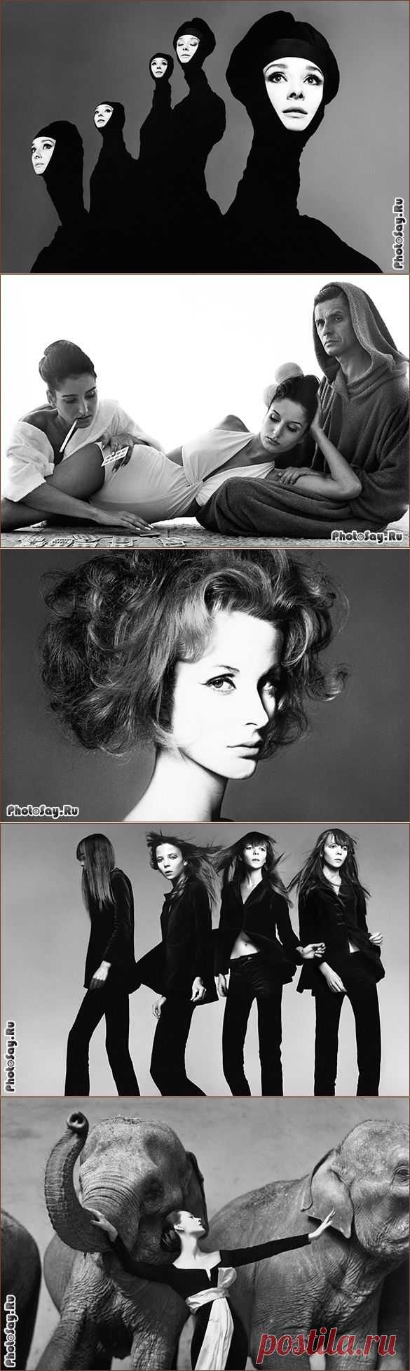 Ричард Аведон (Richard Avedon)
