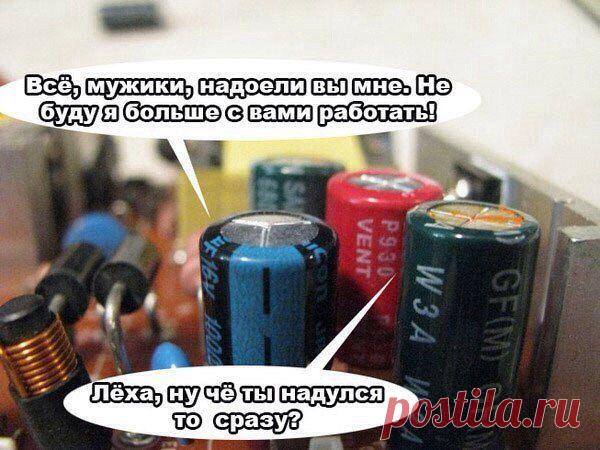 Илона Маслова