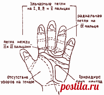 ЧТО ОТ НАС СКРЫВАЮТ УЗОРЫ НА ПАЛЬЦАХ