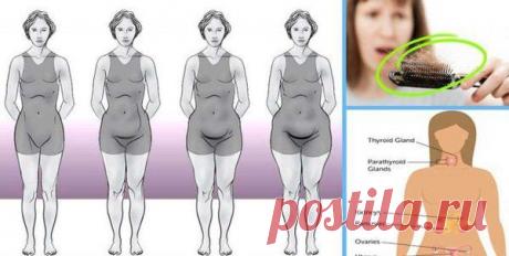 Врач эндокринолог из Америки рассказала из-за чего вы не можете похудеть!