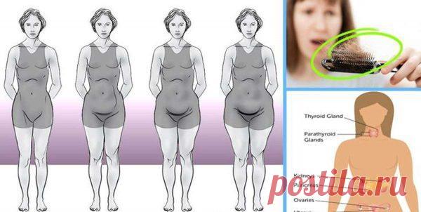 Врач эндокринолог из Америки рассказала из-за чего вы не можете похудеть!