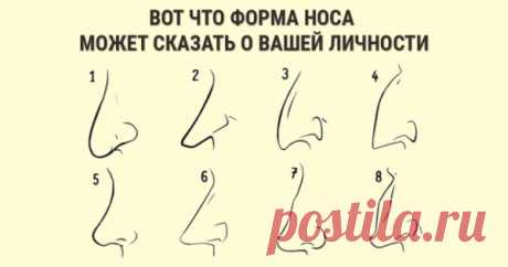 Как видеть насквозь любого человека, всего лишь присмотревшись к форме носа Индивидуальные особенности строения тела человека могут многое поведать о его характере. А особое внимание всегда стоит уделять лицу.





Не только его выражение и мимика, но и анатомические особенности строения могут предоставить вам интересную информацию. Узнайте, что форма носа расскажет о сво