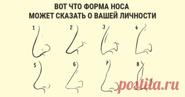 Как видеть насквозь любого человека, всего лишь присмотревшись к форме носа Индивидуальные особенности строения тела человека могут многое поведать о его характере. А особое внимание всегда стоит уделять лицу.





Не только его выражение и мимика, но и анатомические особенности строения могут предоставить вам интересную информацию. Узнайте, что форма носа расскажет о сво