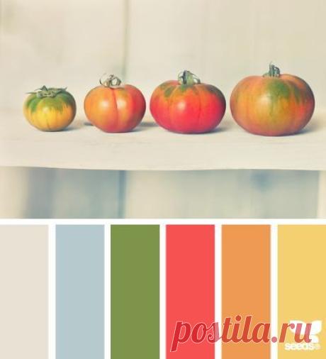 tomato tones (design seeds)