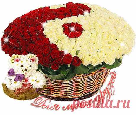 (3) Одноклассники