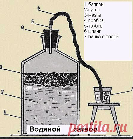 Рецепты домашних вин из винограда
Показано , как делать водяной затвор. Очень нужная штучка