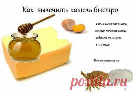 дыхательные пути, бронхи, лёгкие | Записи в рубрике дыхательные пути, бронхи, лёгкие |