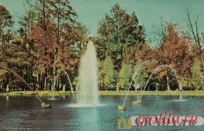 Петродворец, Россия - Фонтан в Песочном пруду - 1965-й год - г2587 | GRADY.ru