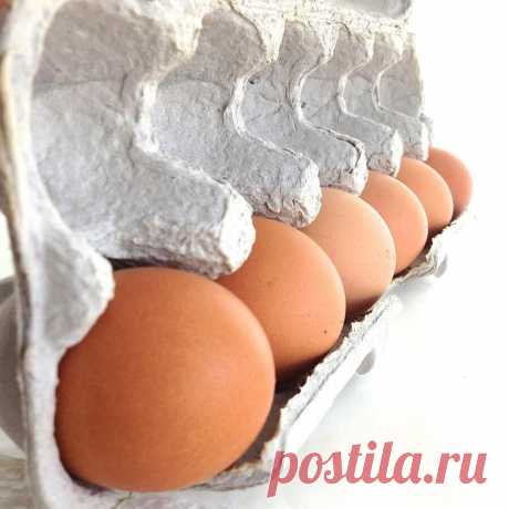 Всё о яйцах: как удачно выбирать и мастерски готовить этот суперпродукт
