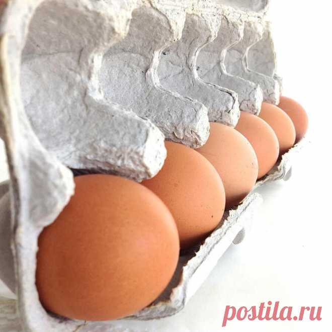 Всё о яйцах: как удачно выбирать и мастерски готовить этот суперпродукт