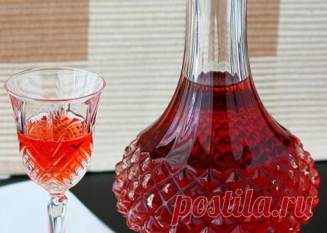 Домашнее вино из старого варенья | Domosedkam.ru