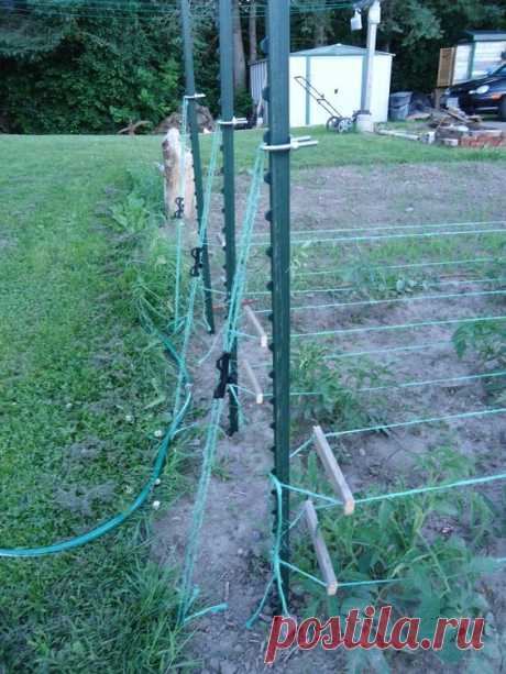 Learn to make homemade stuff. DIY, crafts, cooking, gardening, chickens, and small homestead projects.