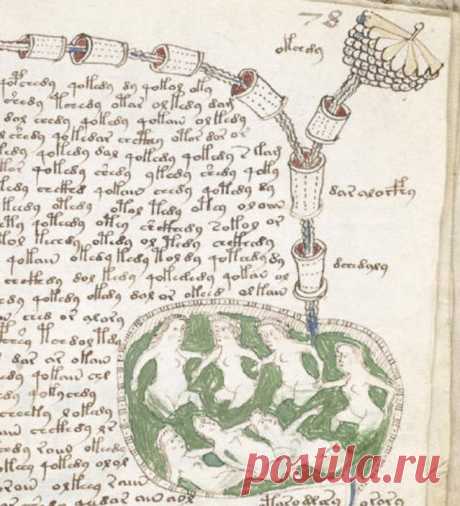 Самая загадочная книга в мире
