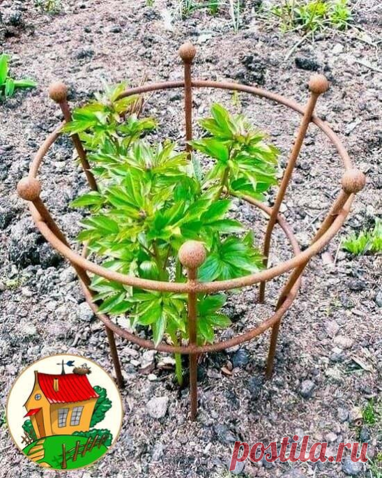 Полезные идеи для загородной жизни ....
 #дача