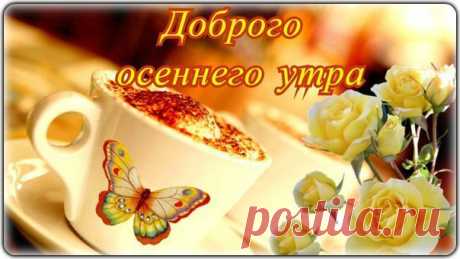 (25) Мой Мир@Mail.Ru