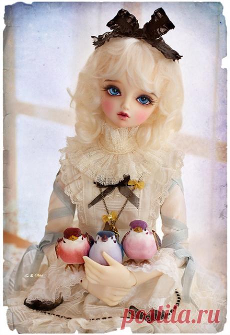 All sizes | Blue Alice | Flickr - Photo Sharing!