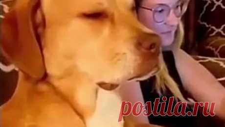 Спим на работе)