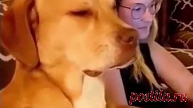 Спим на работе)