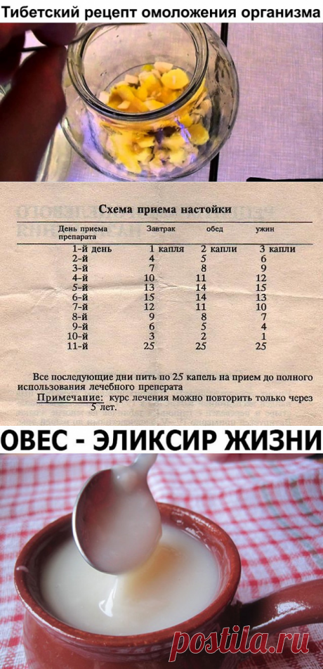 (1) Одноклассники