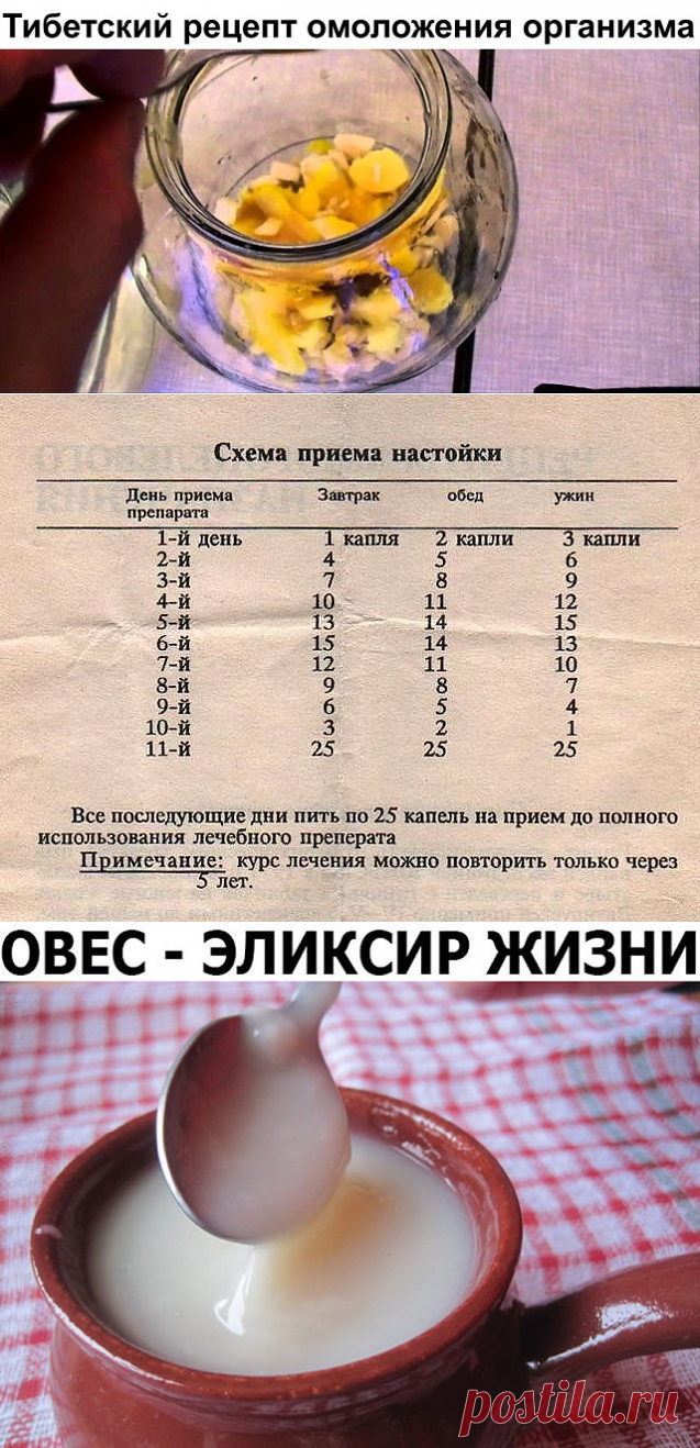 (1) Одноклассники