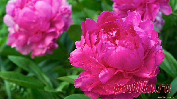 Фотографии на стене сообщества | 33 129 фотографий | ВКонтакте